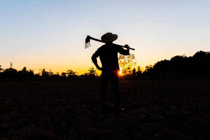 Farmer,Working,On,Field,At,Sunset,Outdoor