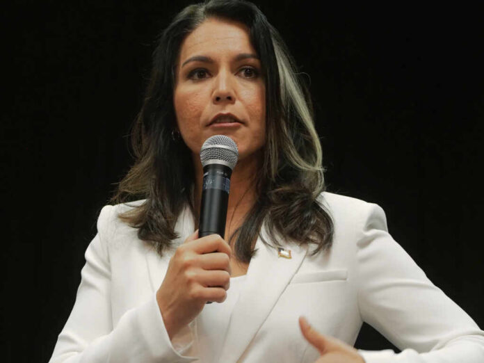 Nashua,,New,Hampshire,/,Usa,-,10/01/2019,:,Tulsi,Gabbard