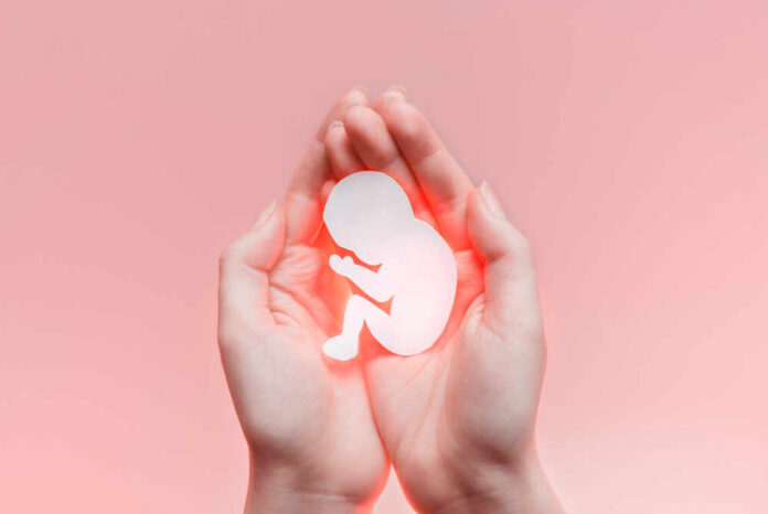 Hands holding a paper cutout of a fetus against a pink background