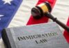 A book titled 'Immigration Law' next to a gavel on an American flag background