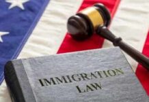 A book titled 'Immigration Law' next to a gavel on an American flag background