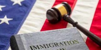 A book titled 'Immigration Law' next to a gavel on an American flag background