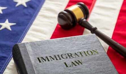 A book titled 'Immigration Law' next to a gavel on an American flag background
