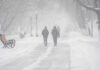 People walking in a snowy park during a blizzard
