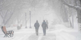 People walking in a snowy park during a blizzard