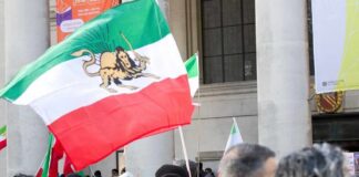 Crowd holding Iranian flags during a protest