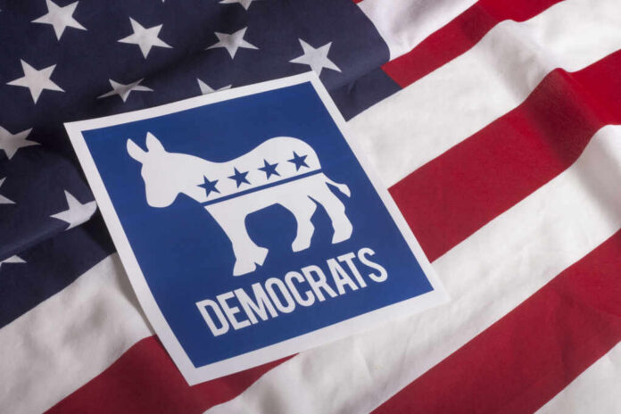 Democratic Party logo featuring a donkey on an American flag background