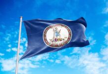 Virginia state flag waving against a blue sky