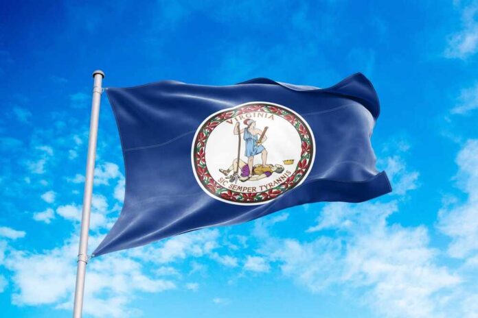 Virginia state flag waving against a blue sky