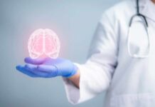 Scientists Discover Protein That Could Rewrite Aging A medical professional holding a glowing digital brain illustration in their hand
