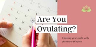 Are You Ovulating Every Month