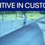 Fugitive wanted for health care fraud in custody