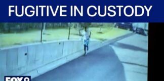 Fugitive wanted for health care fraud in custody