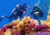 Two scuba divers exploring a vibrant coral reef filled with colorful fish