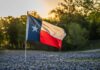Texas flag waving in a field of bluebonnet flowers during sunset