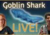 Goblin Shark Spotted in Surprising Habitat: Update from an Expert | Nautilus Live