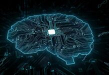 Digital brain shaped circuit board with central microchip