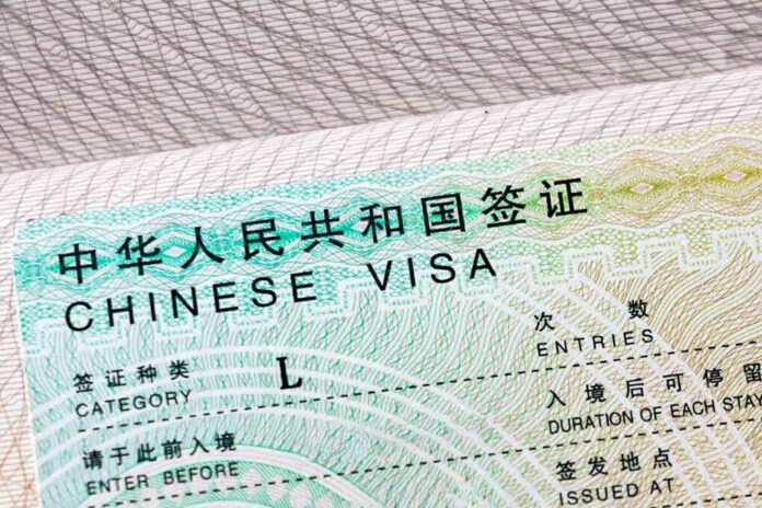 Chinese visa document close-up