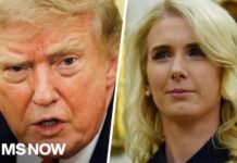 Ossoff getting under Trump's skin? WH concerned about Natalie Harp getting more attention: Haberman