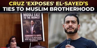 'Abdul linked to Muslim Brotherhood network!': Sen Ted Cruz drops shocking claim about El-Sayed