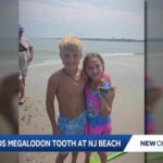 Pennsylvania family finds megalodon tooth on New Jersey beach