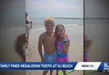 Pennsylvania family finds megalodon tooth on New Jersey beach