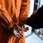Prisoner in orange jumpsuit handcuffed by officer