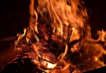 Dry pine branches burning in bright orange flames