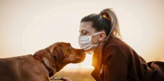 Woman in mask touching noses with brown dog at sunset
