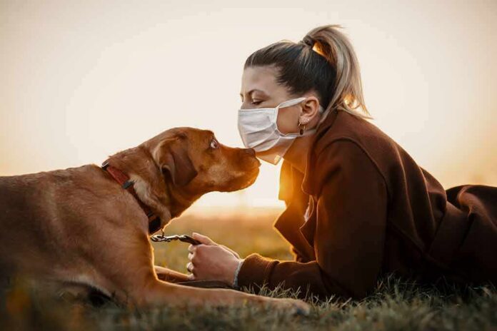 shutterstock_1677729985-2 Woman in mask touching noses with brown dog at sunset