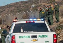 Border Patrol agents gather near fence with patrol trucks