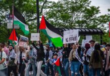 Wang Ying among protesters holding Palestinian flags and signs at a street demonstration