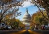 United States Capitol dome framed by a tree-lined street