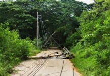 Islandwide Blackout Stuns Cuba Fallen utility pole blocking a rural road