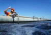 Engineer inspecting water sample at wastewater treatment plant