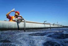 Engineer inspecting water sample at wastewater treatment plant