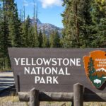 Yellowstone National Park entrance sign beside a forested road