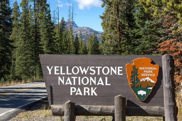 Yellowstone National Park entrance sign beside a forested road